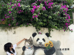 -三圣花乡旅游区