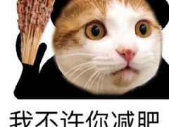 -LOG-ON(屯门广场店)