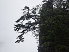 -恩施大峡谷