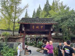 -青城甲(青城山店)