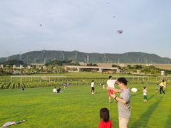 -光明小镇欢乐田园