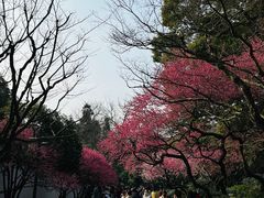 -杭州黄龙洞