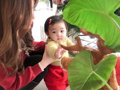 -开间茶馆·围炉煮茶
