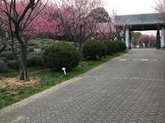 -上海海湾国家森林公园