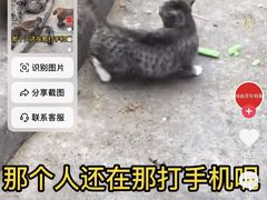 -云南野生动物园