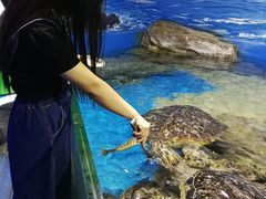 -昆明动物园