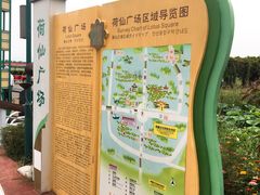 -荷花荡