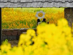 -三圣花乡旅游区