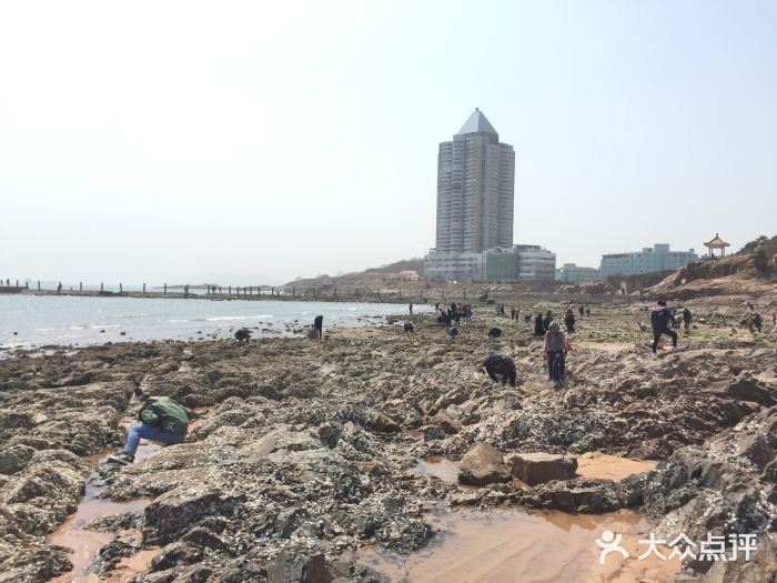 青岛第二海水浴场图片