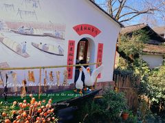 -西溪国家湿地公园