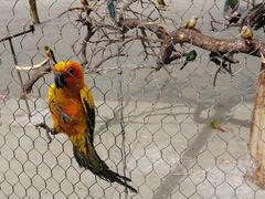 -新疆天山野生动物园