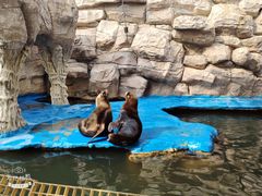 -华夏文旅海洋公园