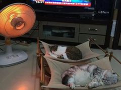 -权品·权金城沐浴连锁(良乡店)
