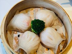 公馆虾饺皇-炳胜公馆(珠江新城店)