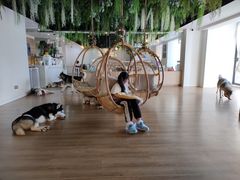 -Husky Go! 哈士奇体验馆·宠物咖啡厅狗咖