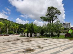 -金鸡岭桥头公园
