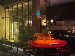 -毛辣果·酸(OHA复兴西路店)