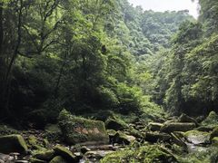 -碧峰峡风景区