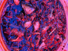 -胖子鱼·天水麻辣鱼火锅(秦州407店)