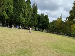 -瀛洲公园