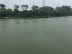 -桃园农庄·桃源宴