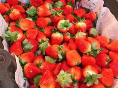 -红星农博物流中心