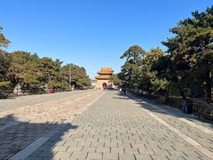 -北陵公园