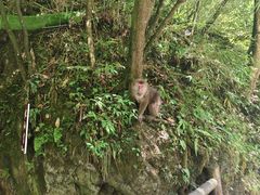 -西岭雪山大飞水景区