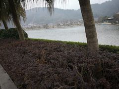 -明月山天沐温泉度假村