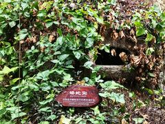 -呀诺达热带雨林