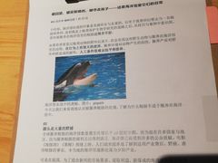 -晓港公园