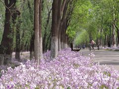 -东郊湿地公园