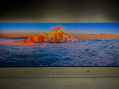 -罗红摄影艺术馆