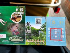 -西双版纳原始森林公园