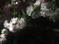 -北京周口店北京人遗址博物馆