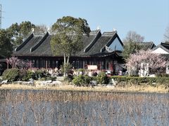 -上海海湾国家森林公园