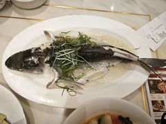 -稻香酒家·35年老字号(侨光店)