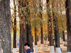 -广东外语外贸大学(白云山校区)