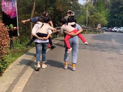 -铁山坪森林公园