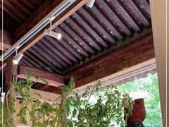 -春风习习