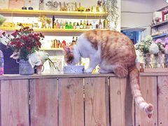 -小时光咖啡馆(北锣鼓巷店)
