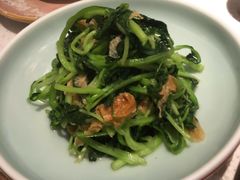 邹山腐皮鸡毛菜-竹外桃花·江南小酒馆(SKP·S店)