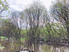 -西湖风景区-江洋畈生态公园