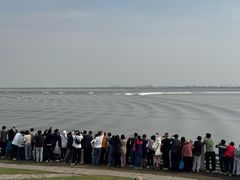 -观潮胜地公园
