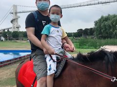 -武汉紫薇都市田园