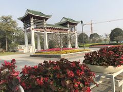 -王借岗森林公园