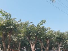 -万绿园