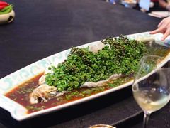 -许家菜.艺创菜(仁和新城店)