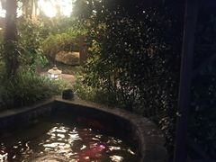 -杭州第一世界大酒店·云曼温泉