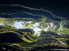 -梭布垭石林景区